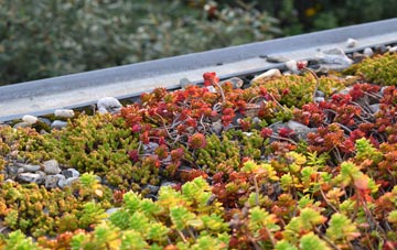 the cost of Asfordby Hill green roof installation