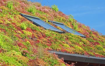 Asfordby Hill living roof systems